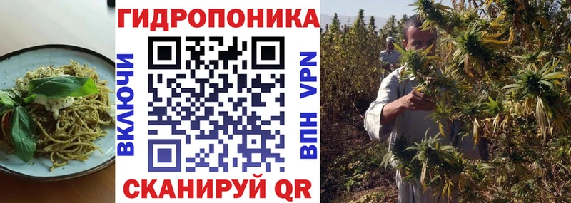 Cannafood конопля  Ишим 