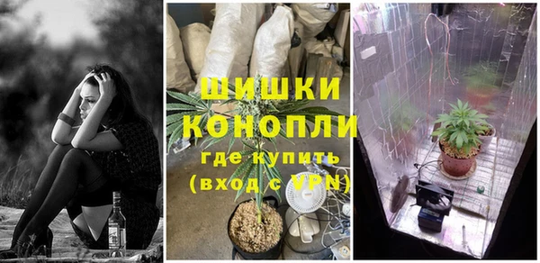молекула духа Алексеевка