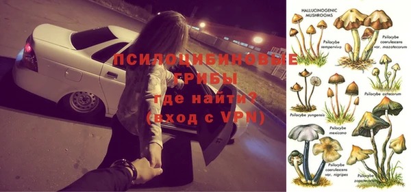 молекула духа Алексеевка