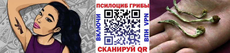 хочу   Ишим  Галлюциногенные грибы ЛСД 